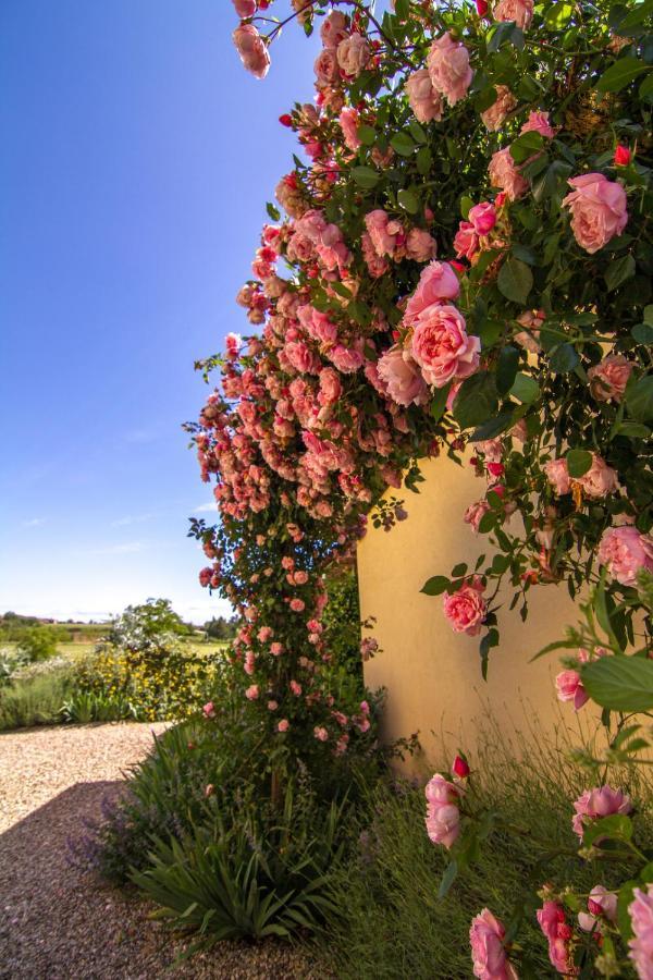 Rinidia Bio Villa Sovicille Exterior photo